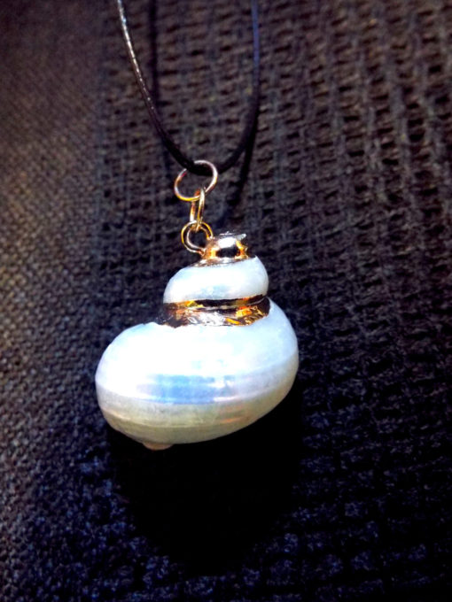 Real Spiral Shell Pendant Handmade Necklace Seashell Jewelry Beach Ocean Eco Friendly 2