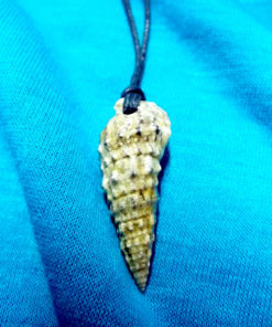 Real Spiral Shell Pendant Handmade Necklace Seashell Jewelry Beach Ocean Eco Friendly 4
