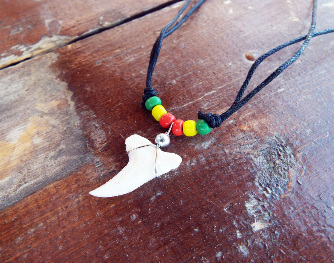 Shark Tooth Necklace Pendant Jamaican Handmade Real Jewelry